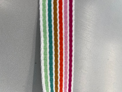 Pastel Rainbow Stripe Webbing