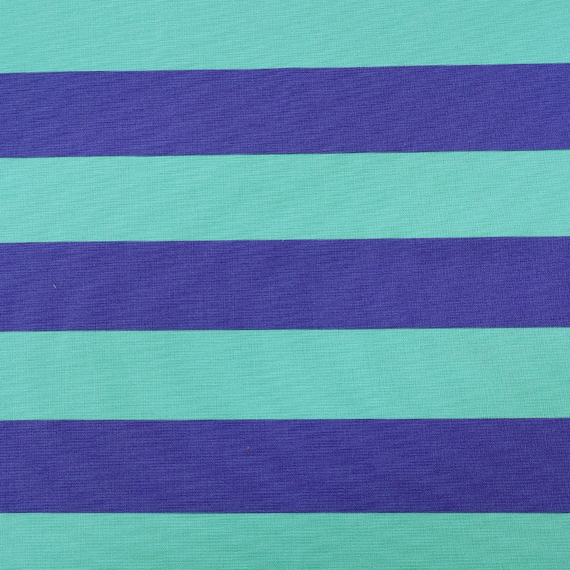 Cotton Canvas Stripe - Mint and Cornflower