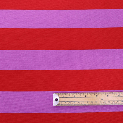 Cotton Canvas Stripe - Raspberry and Red