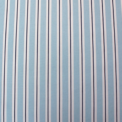 Powder Blue and Navy Stripe Furnishing Fabric