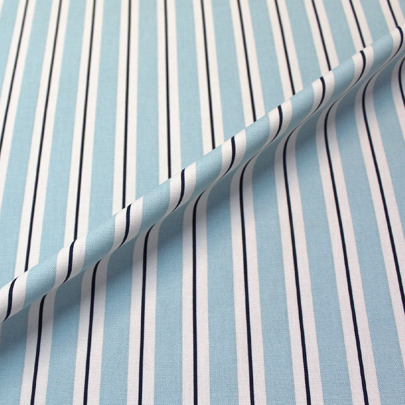 Powder Blue and Navy Stripe Furnishing Fabric